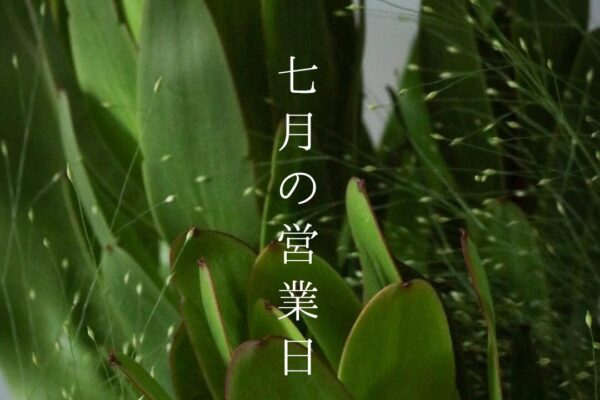 7月の営業日