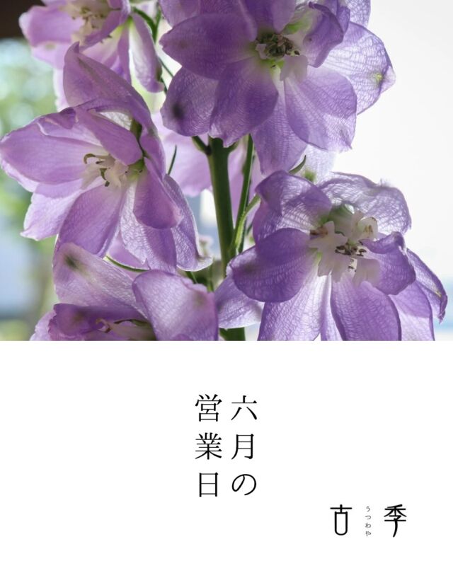 6月の営業日です。

◎ 開店日について
赤い丸印の日はフリーオープンデイ(予約不要)です。
器好きな方や夏の器をお探しの方、どうぞお気軽にお立ち寄りください🌳
開店時間　11時〜17時
※臨時休業・臨時営業あり　都度アナウンスいたします。

▲ 予約開店日について
お気軽にDMかメールにてご来店希望の旨ご連絡ください✨
※出来れば前日までのご連絡をお願いいたします。
シャッターが開いているときは大体店内で作業を行いながら営業しているのですが、買取などの所用が入った場合途中でお店を閉めることがあるため、予約日としております。
ご来店希望の方はご予約いただくと確実です🙇

✖️の記号がついた日
店舗はお休みです。

DMやメールのお問い合わせは営業時間内にお返事させていただきます。
県外に出ているときや立て込んでいるときはお返事が遅れる場合がありますが、順番ずつお返しいたします。

@utsuwaya.koki 

オンラインショップ
https://utsuwayakoki.base.shop
公式サイト
http://utsuwayakoki.com
プロフィールのURLからもご覧いただけます。

メール
utsuwayakoki@gmail.com

店舗
〒814-0132 
福岡県福岡市城南区干隈2丁目55−21
駐車場2台あり
最寄駅 地下鉄七隈線 野芥駅(2番出口より徒歩10分)

#うつわや古季